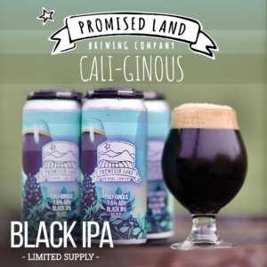 Cali-Ginious Now Pouring - Promised Land Brewing