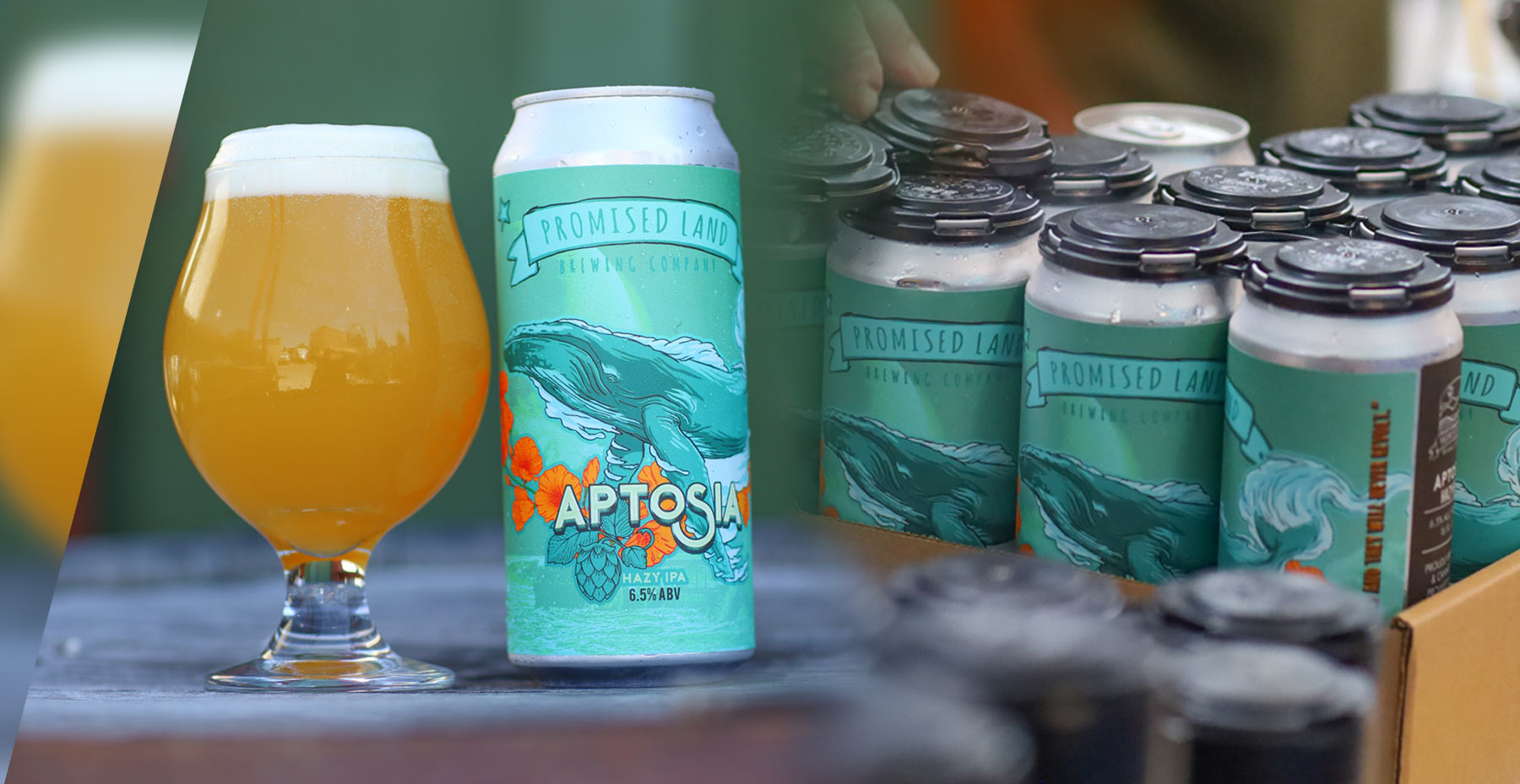 Aptosia Hazy IPA